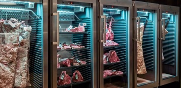 Шкаф для созревания мяса Dry Ager DX 500 